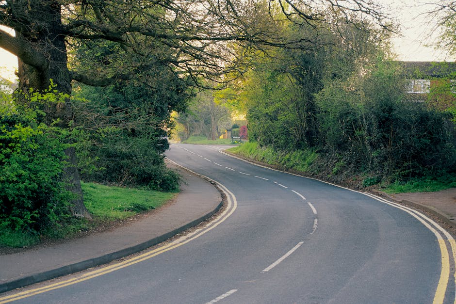 A quiet residential street with a curved asphalt road and double yellow lines along the edge, flanked by lush green trees and bushes on both sides. The sidewalk runs parallel to the road on the left, 